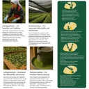 81pr_YimiHL._SL1500.jpg