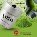 81kU08QQKhL._SL1500.jpg