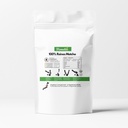 slogan-matcha-AMZ-back.jpg