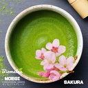 sakura-schale-ohne.jpg