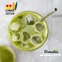 matcha-latte-panda-summer_1.jpg