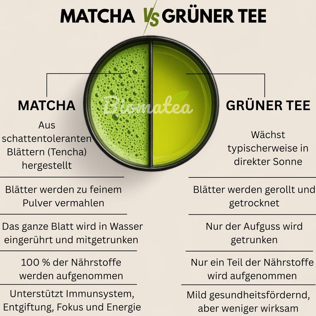 matchaVStee.jpg