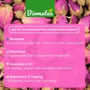 81eRMQiLP7L._SL1500.jpg