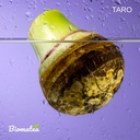 taro-water.jpg