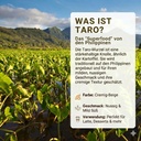 taro-farm.jpg